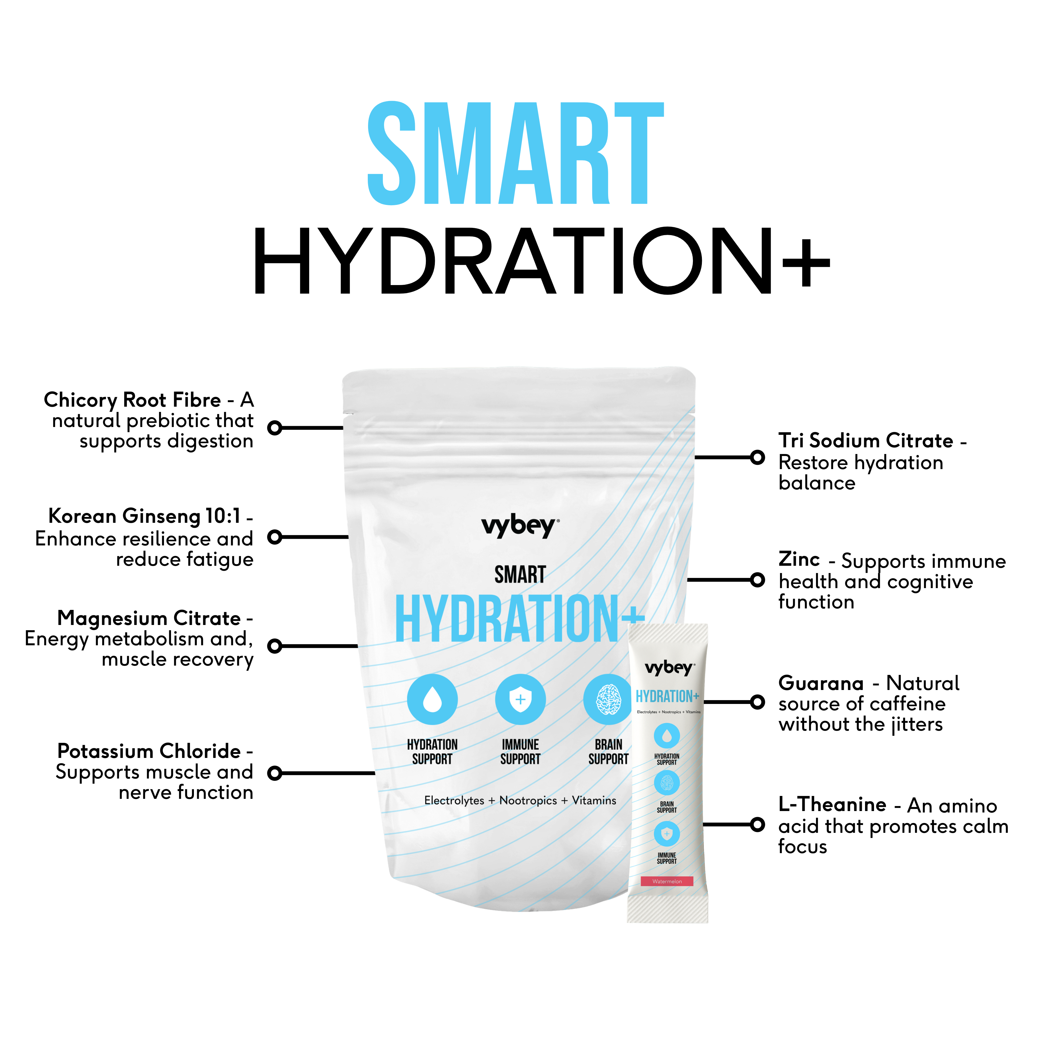 Bounce Back Caffeine-Free Sachets With Vitamins, Electrolytes, Prebiotics & Amino Acids | Raspberry Flavour | Vegan Hydration Drink | Supports Energy, Immunity, Digestion & Recovery | 10g X 10 Sachets